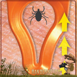 Pince à tique Tick Wrangler UST levier pour enlever les petites et les grosses tiques sur homme et animal